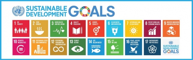 UN Sustainable Development Goal Program