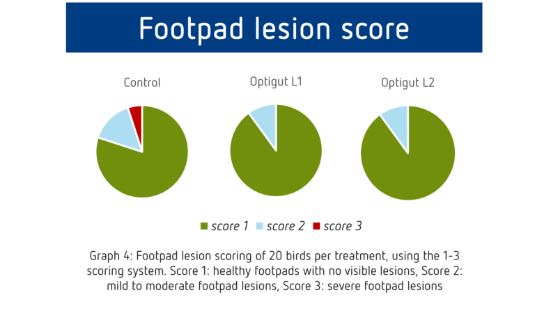 Footpad lesion score with OPTIGUT